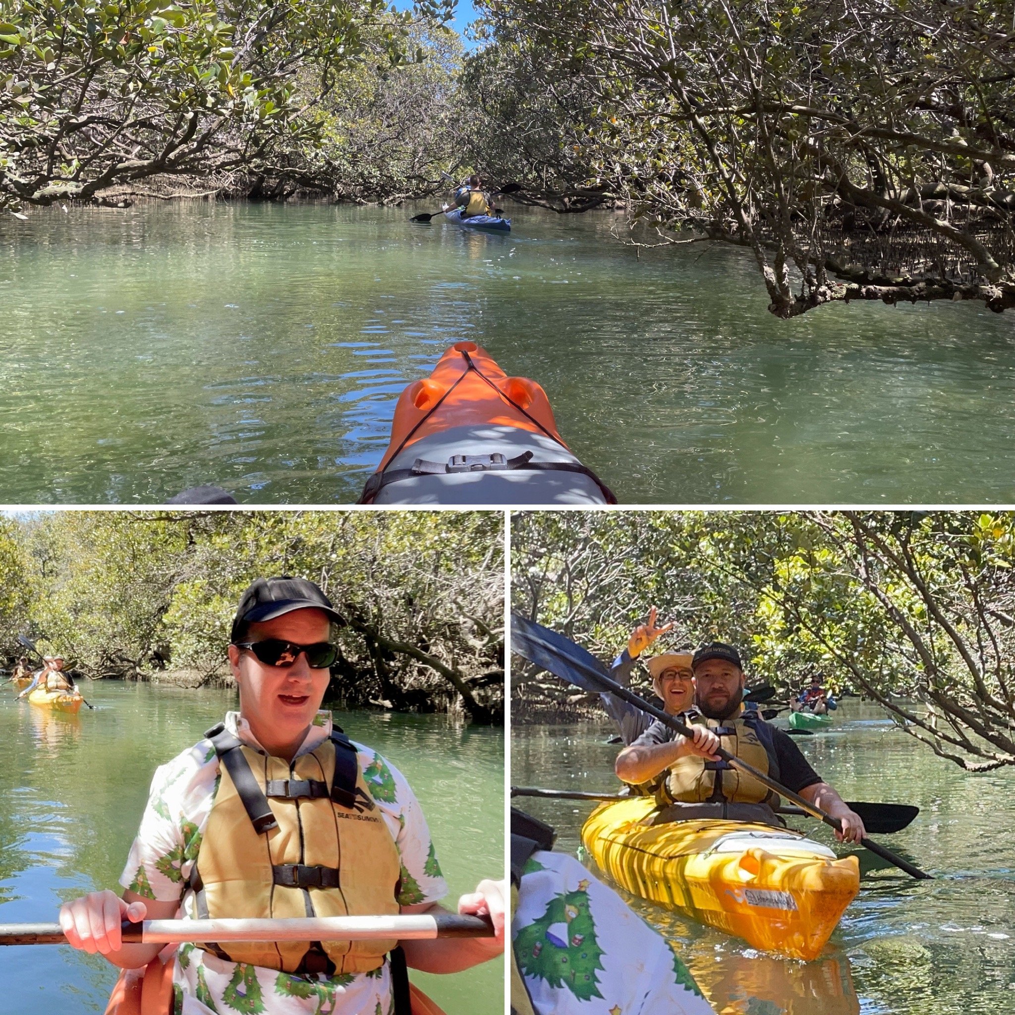Kayaking in the mangroves