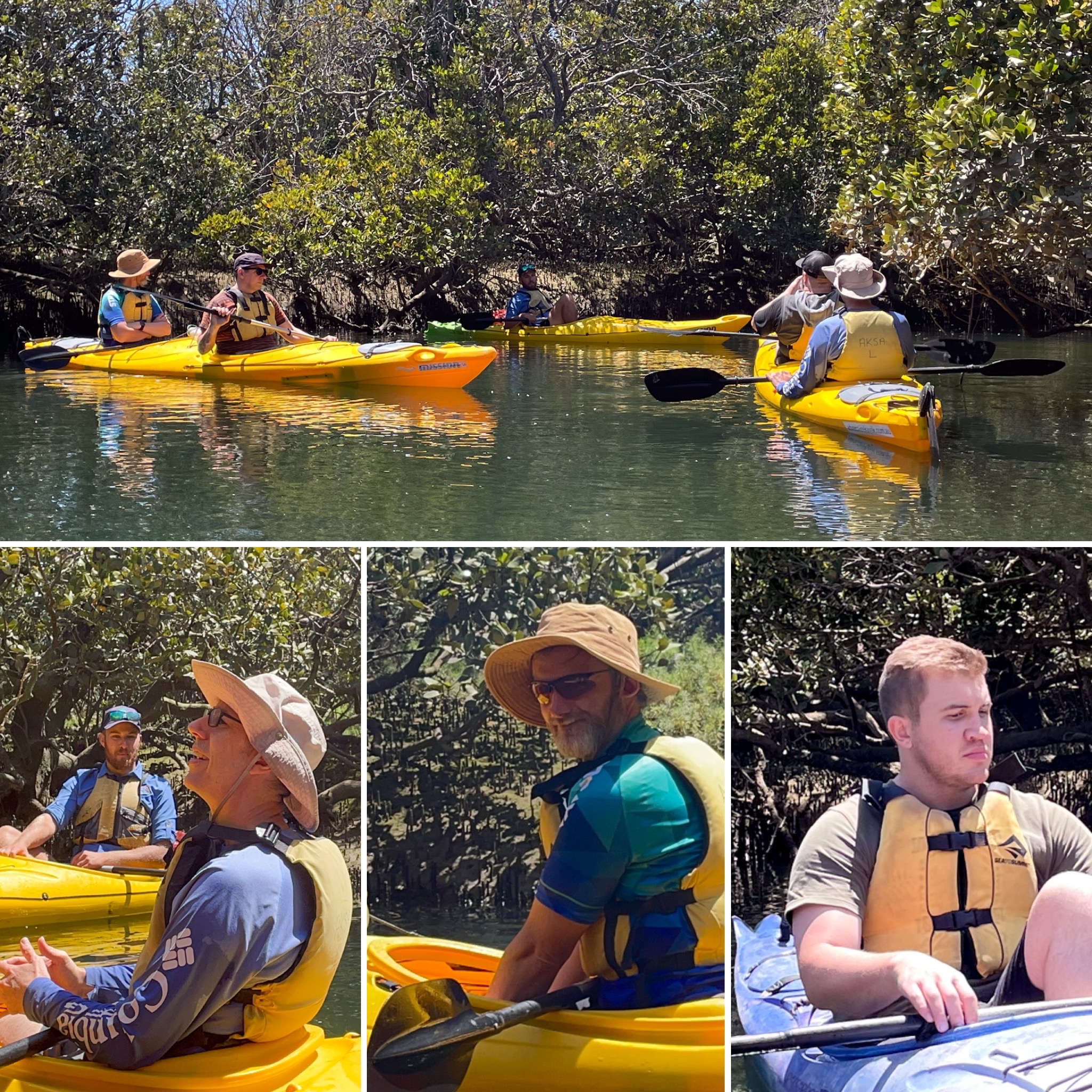 More kayaking in the mangroves